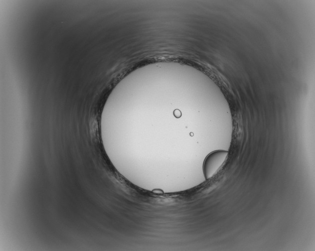 X0000116830523200912181057