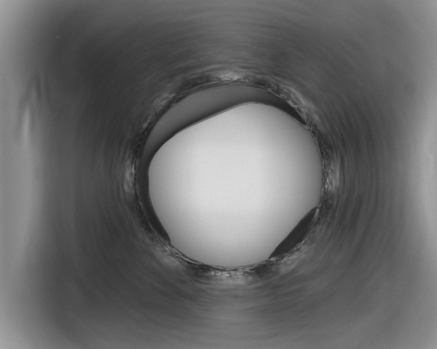 X0000116830524200912181057
