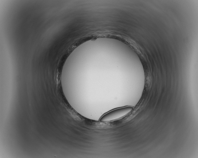 X0000116830525200912181057