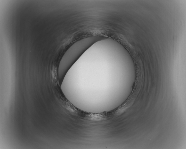 X0000116830528200912181057