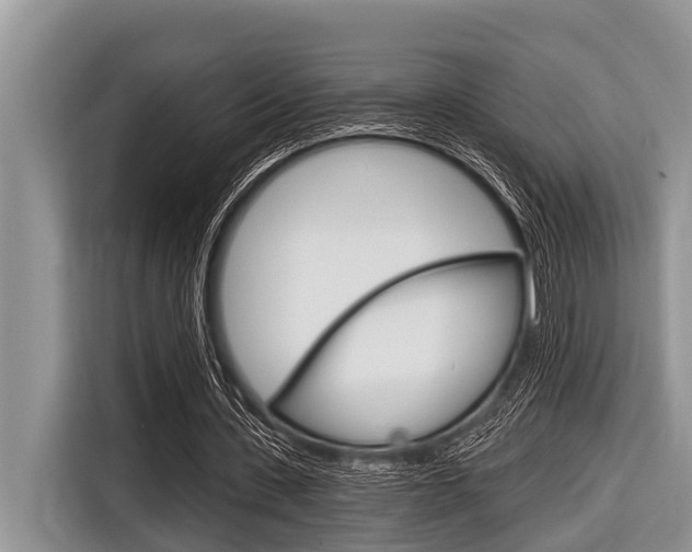 X0000116830531200912181056