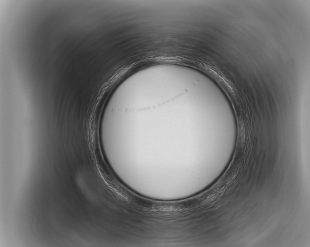 X0000116830533200912181056