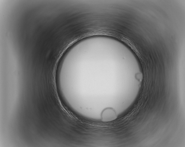 X0000116830534200912181056