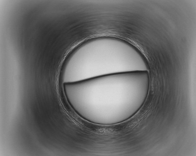X0000116830535200912181056