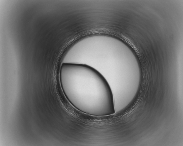 X0000116830538200912181056