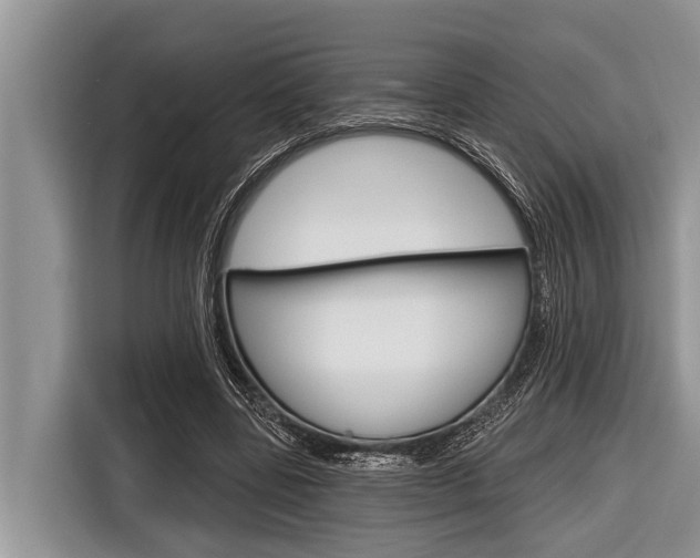 X0000116830539200912181056