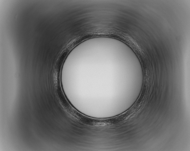 X0000116830542200912181056