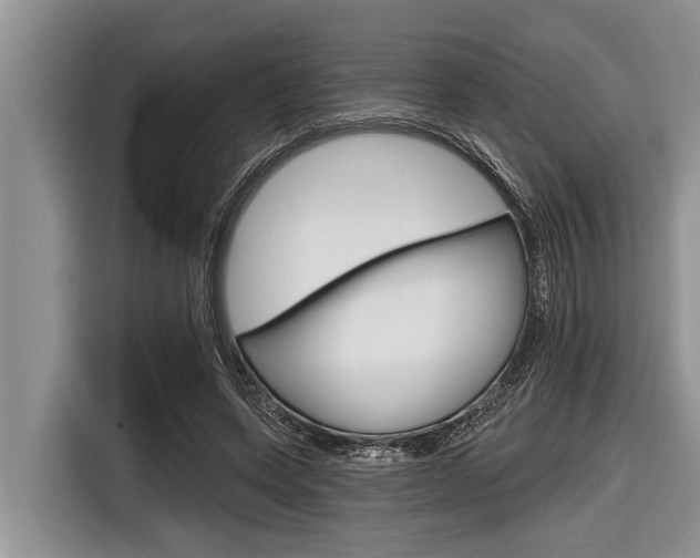 X0000116830543200912181056