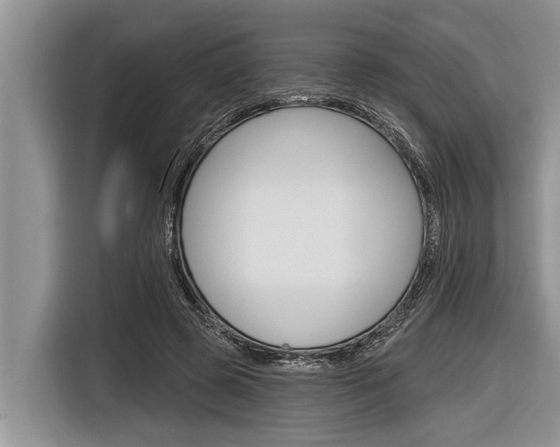 X0000116830545200912181056