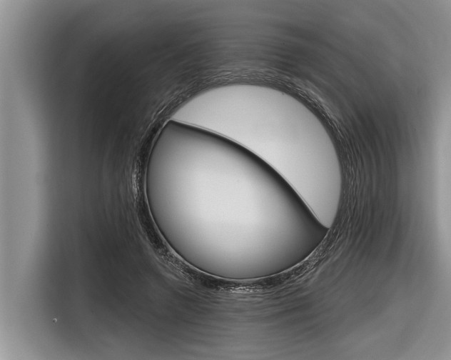 X0000116830546200912181056