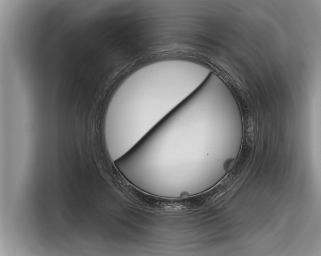 X0000116830547200912181056