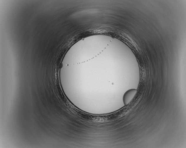 X0000116830549200912181056
