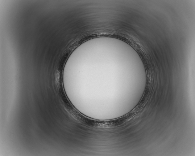 X0000116830550200912181056