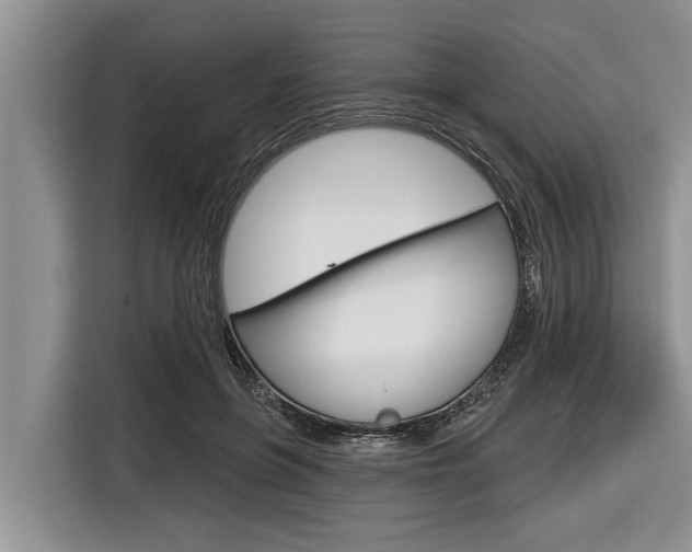 X0000116830551200912181056