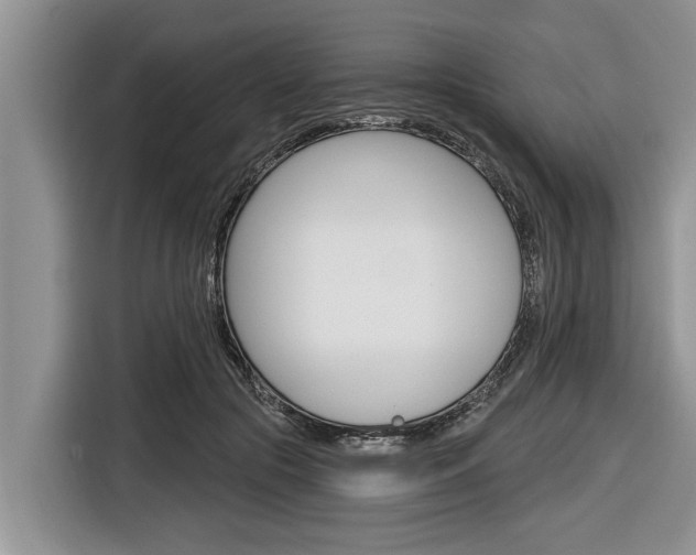 X0000116830553200912181056