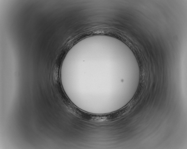 X0000116830554200912181056