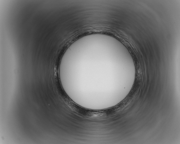 X0000116830555200912181056