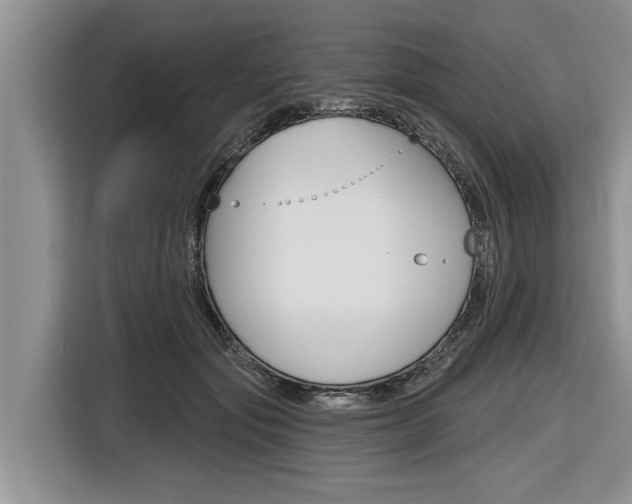 X0000116830557200912181056
