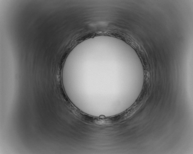 X0000116830561200912181056