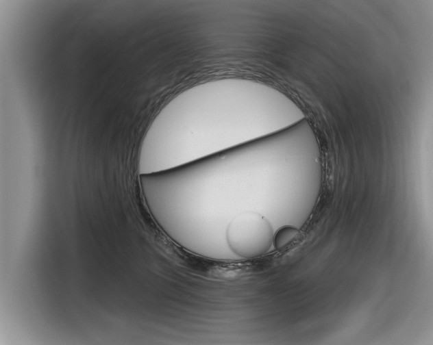 X0000116830563200912181056