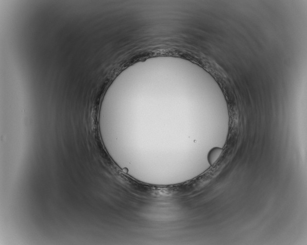 X0000116830565200912181056