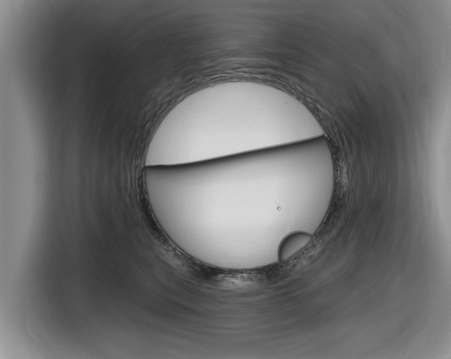 X0000116830567200912181056