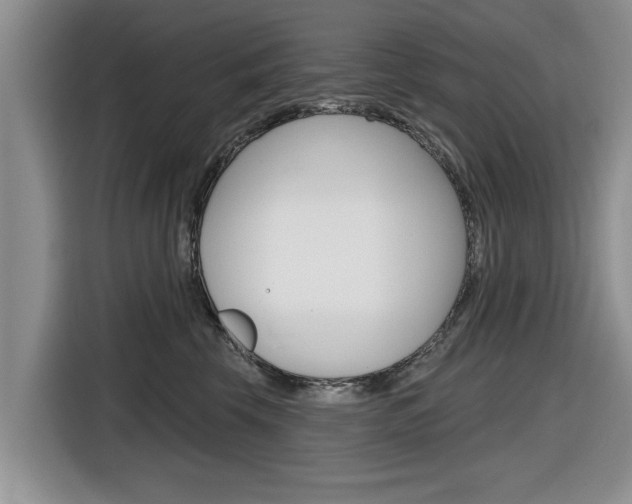 X0000116830569200912181056