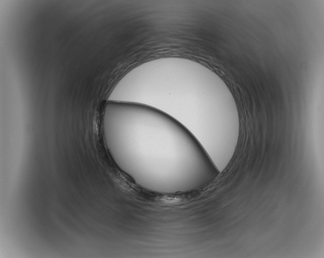 X0000116830570200912181056