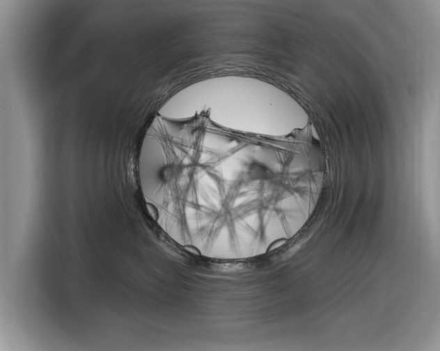 X0000116830575200912181057