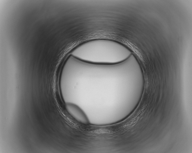 X0000116830578200912181056
