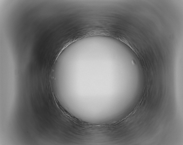 X0000116830579200912181056