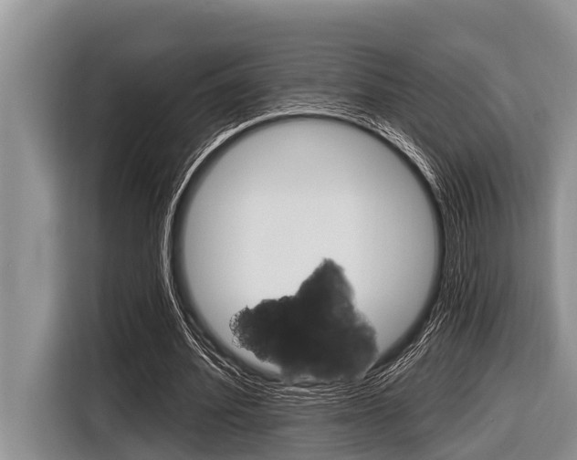 X0000116830580200912181056