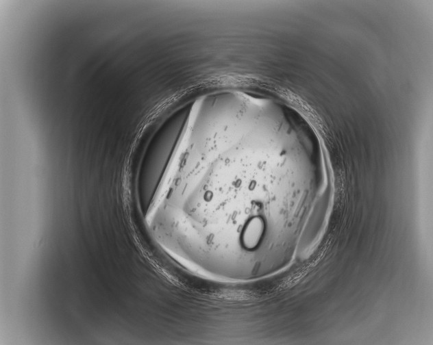 X0000116830581200912181056