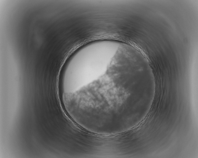 X0000116830582200912181056