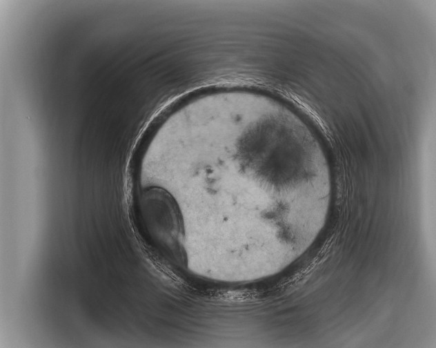 X0000116830584200912181056