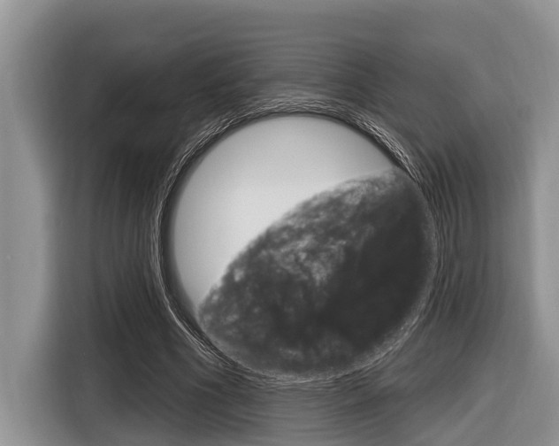X0000116830586200912181056