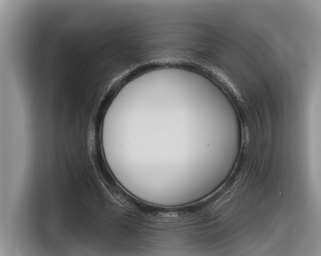 X0000116830588200912181056