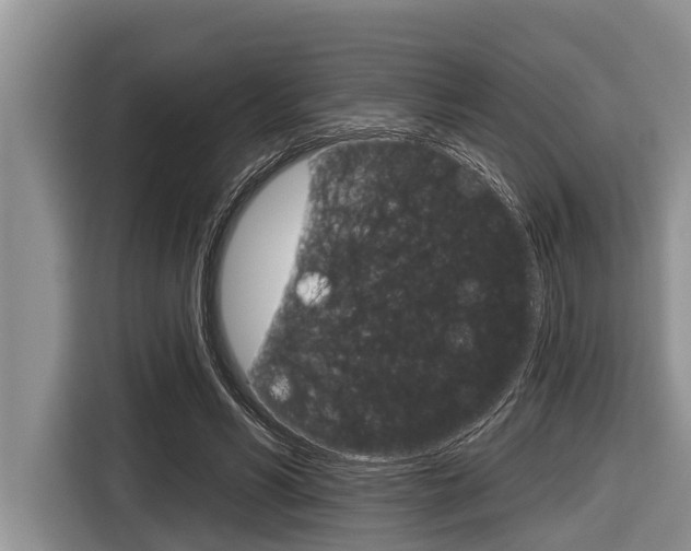 X0000116830590200912181056