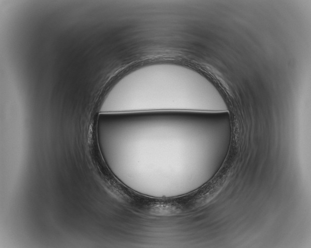 X0000116830596200912181056