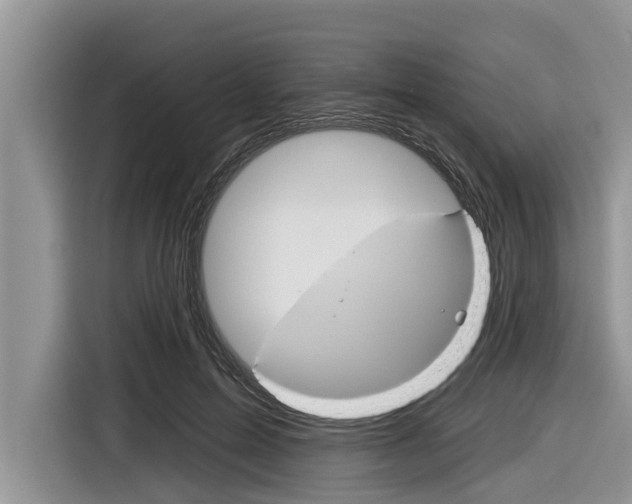X0000116830599200912181056