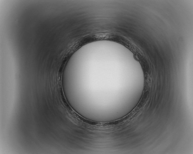 X0000116830601200912181056