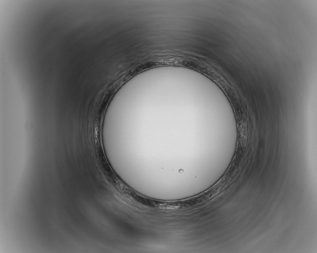 X0000116830602200912181056