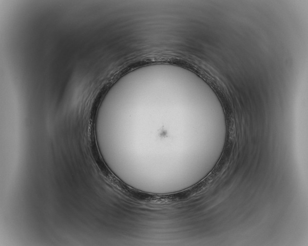 X0000116830604200912181056