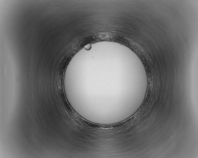 X0000116830606200912181056