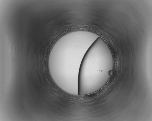 X0000116830608200912181056