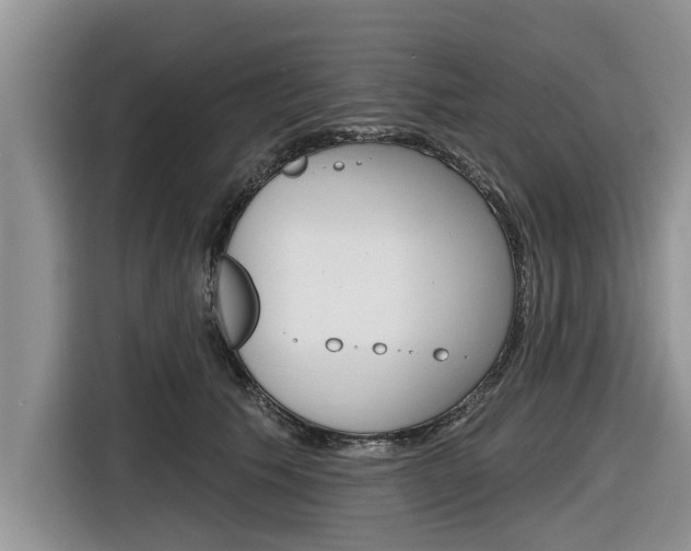 X0000116830609200912181055