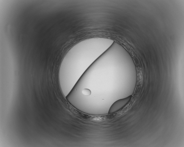 X0000116830611200912181055