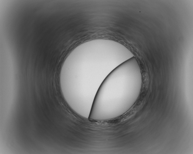 X0000116830612200912181055