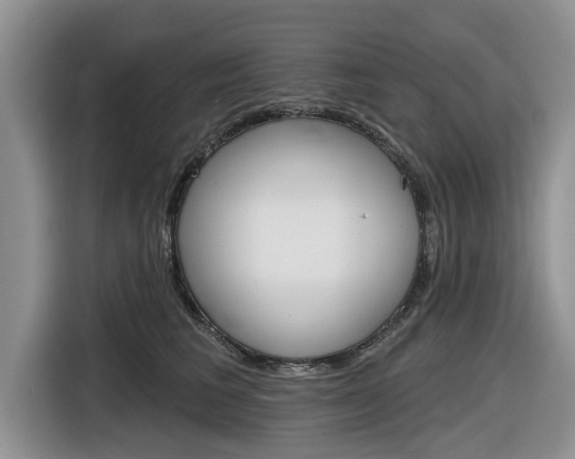 X0000116830613200912181055