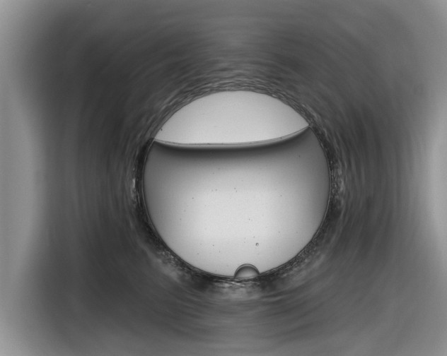 X0000116830615200912181055